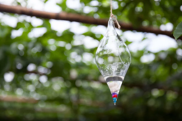 Wishing bottle hanging on a tree