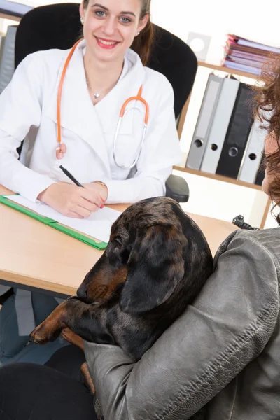 Happy woman holding dachshund dog and veterinarian doctor with clipboard at vet clinic