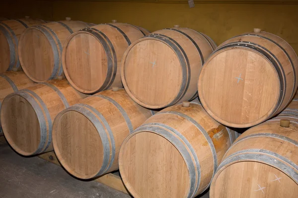 Wine barrels in a old wine cellar -Wine cellar