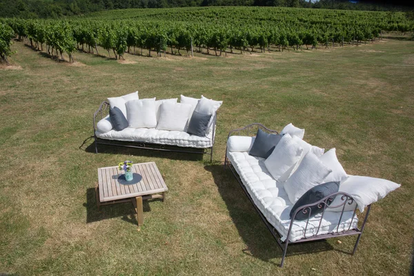 Outdoor furniture in vineyard with sofa and table in garden