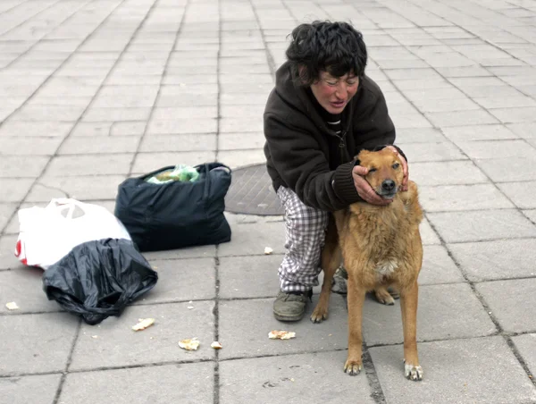 Homeless woman feeding ownerless dogs