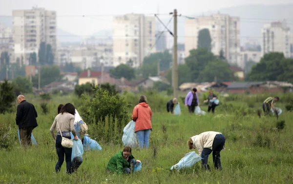 People cleaning grassland