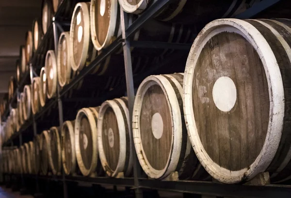 Barrels of plum brandy