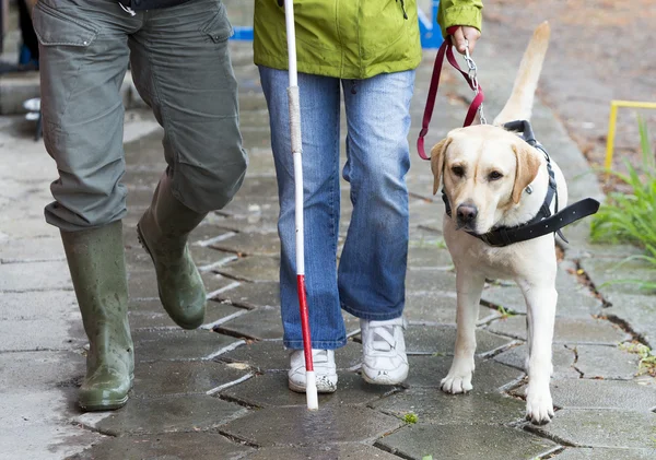 Blind person with her guide dog