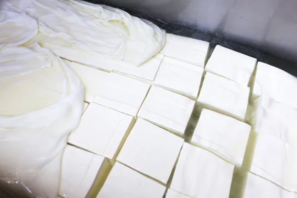 Feta cheese production cubes