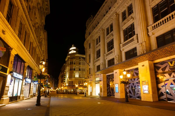 Night street of Budapest