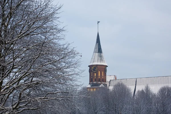 Cathedral in winter