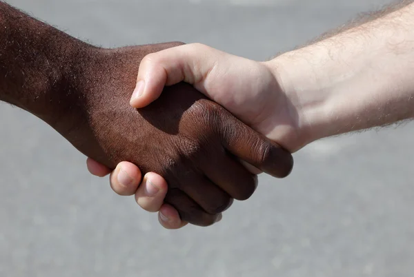 Diverse men shaking hands