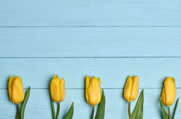 Mothers Day background.Tulips yellow on blue wood