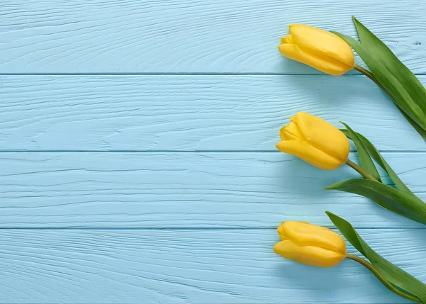 Mothers Day background.Tulips yellow on blue wood