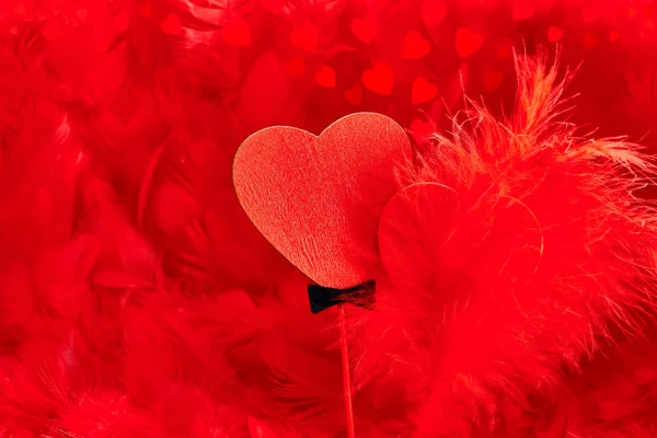Valentines Day. Hearts red Couple on feathers background. Love concept