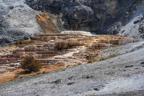 Mammoth Hot Spring Terraces at Yellowstone National Park, Wyoming,  USA