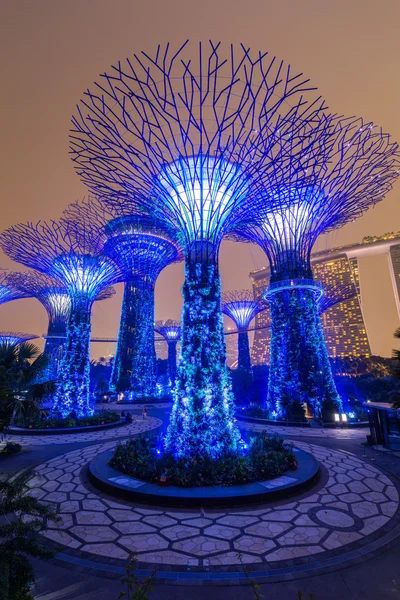 Singapore, Singapore - circa September 2015: Supertree Grove in Gardens by the Bay,   Singapore