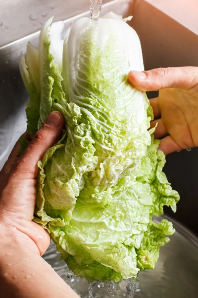 Male hands washing chinese cabbage.
