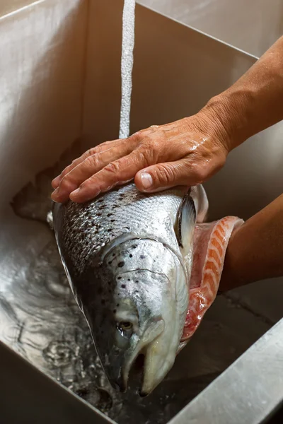 Male hands washing fish.