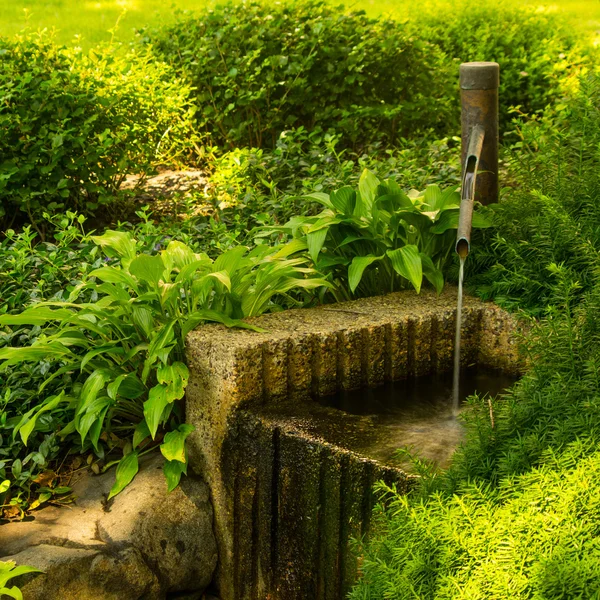 Water Spout in Japanese Garden