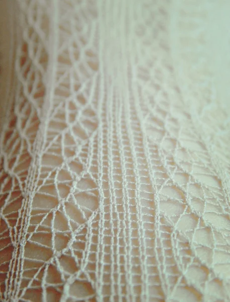 Lace on the body in gentle vintage colors, background