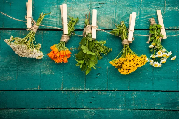 Summer fresh medicinal herbs on the wooden background.