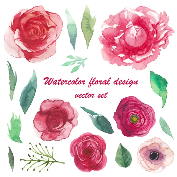 Watercolor peony, ranunculus, anemone, roses