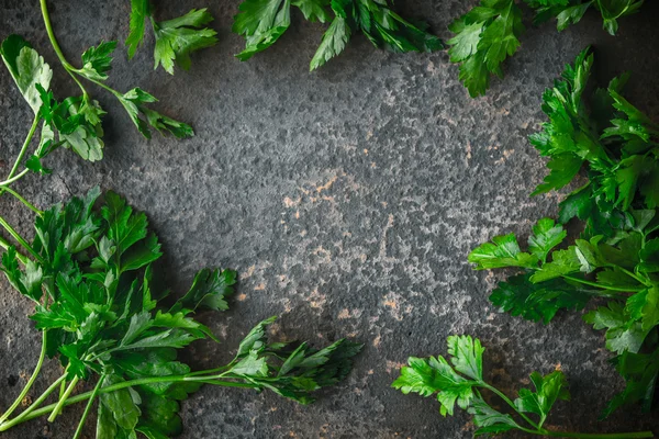 Herbs parsley on a gray slate