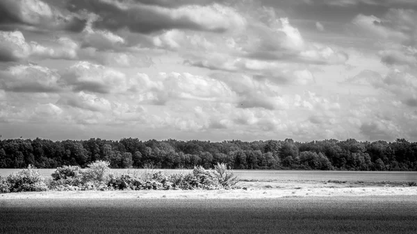 Country landscape black and white