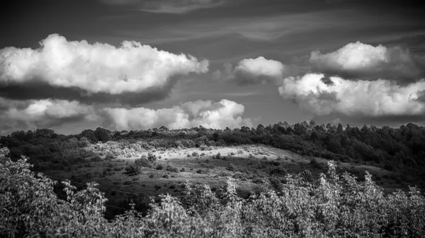 Green hills  under the cloudy sky black and white