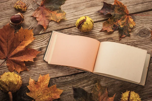 Clean open vintage notebook surrounded by maple leaves and chestnuts with film filter effect