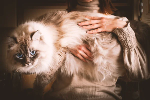Woman with siberian cat