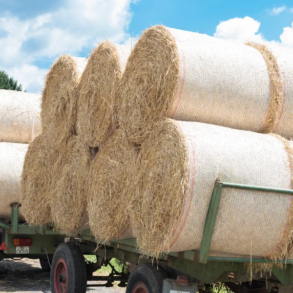 Agricultural trailer with animal food straw in the sun