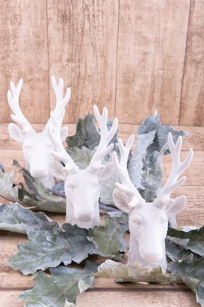 Three deer heads and leafs on wooden background with space for o