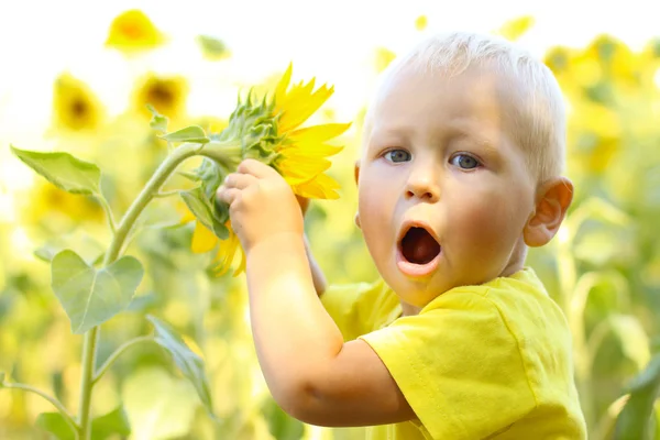 Funny little boy in sunflowers