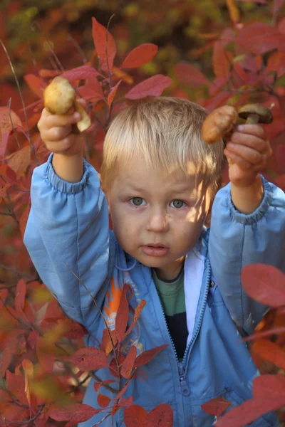 Funny baby in autumn forest