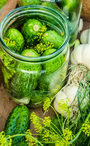 Fresh pickling cucumbers.Preparing to pickle fresh cucumbers with dill,garlic and spices