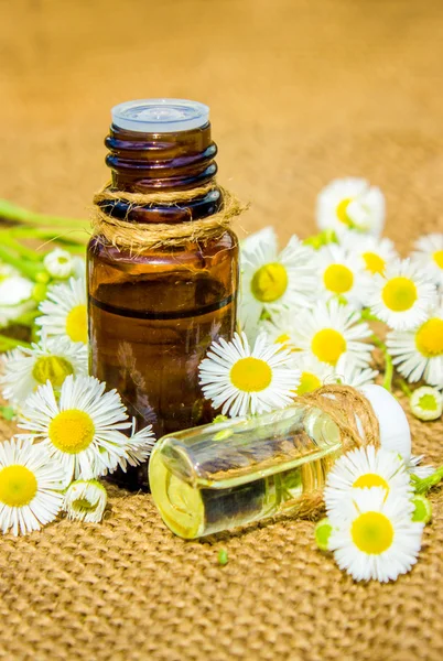 Small bottle of cosmetic chamomile oil for nail and cuticle care