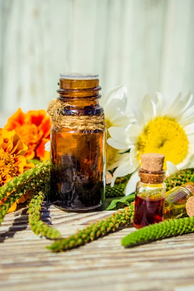 Alternative herbal medicine with medicinal plants essence bottles