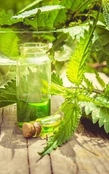 Nettle tincture in a small bottle and fresh leaves on white wood, medicinal herb for overweight, diabetics and kidney weakness, selected focus, narrow depth of field