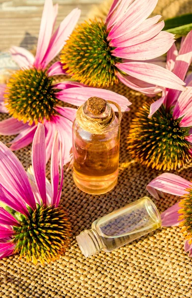 Medicinal herbs echinacea in a small bottle