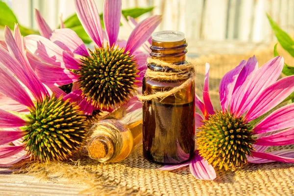 Medicinal herbs echinacea in a small bottle