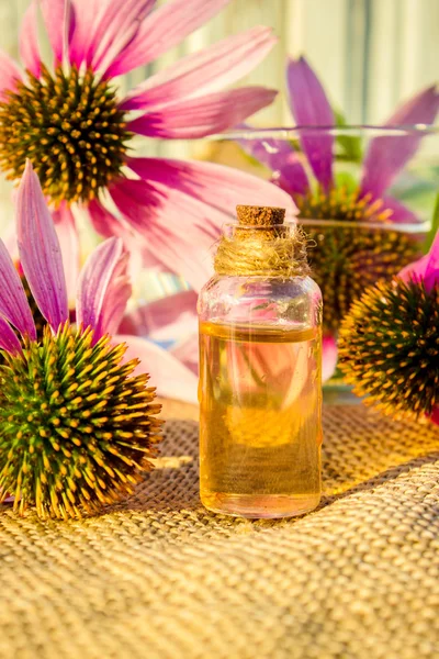 Medicinal herbs echinacea in a small bottle