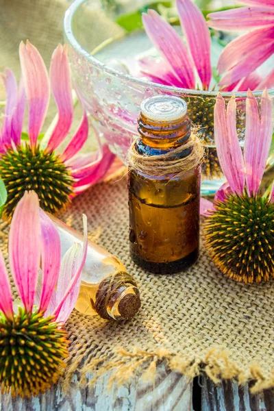 Medicinal herbs echinacea in a small bottle