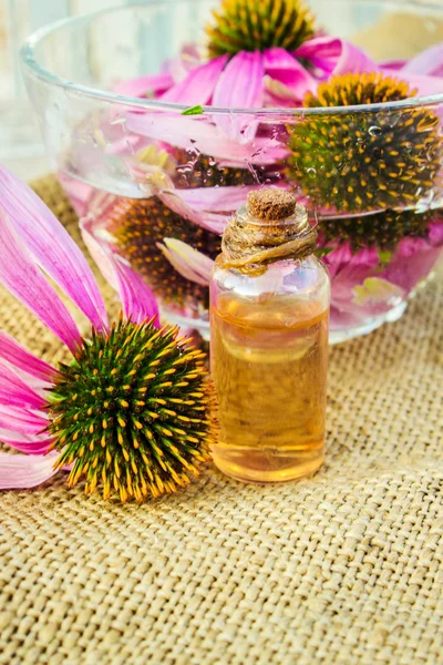 Medicinal herbs echinacea in a small bottle