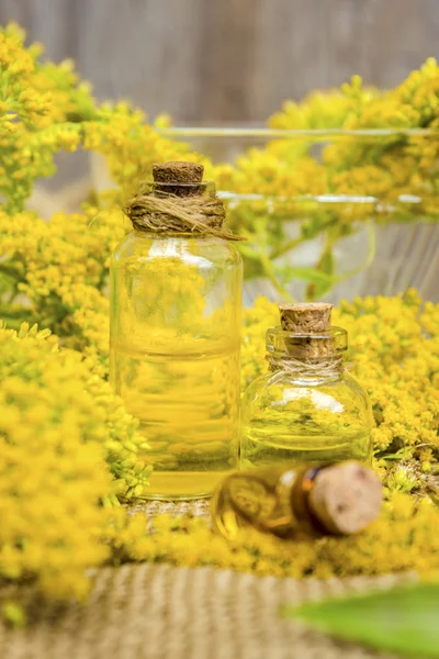 Goldenrod herb for the treatment (decoction, tincture, extract oil).