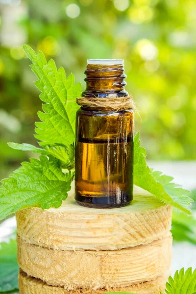Nettles in a small bottle (decoction, tincture, extract, oil).