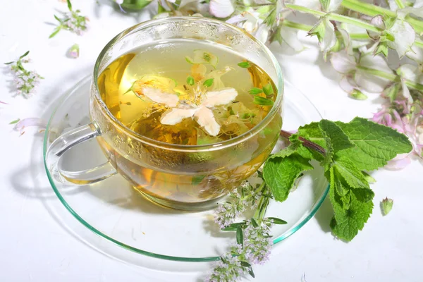 Medical tea with fragrant grasses and mint in a transparent cup