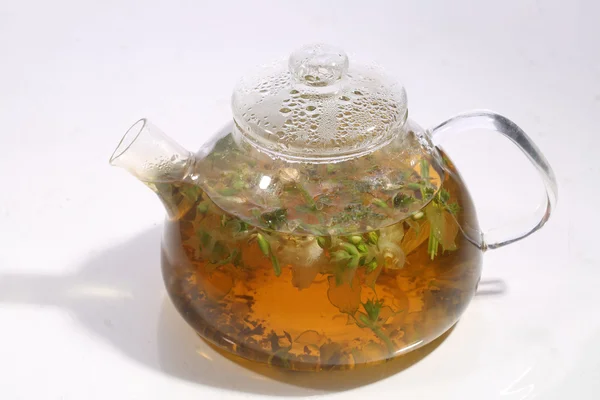 Tea from grasses and mint in a transparent cup