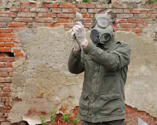 Man with gas mask and green military clothes explores dead bird after chemical disaster.