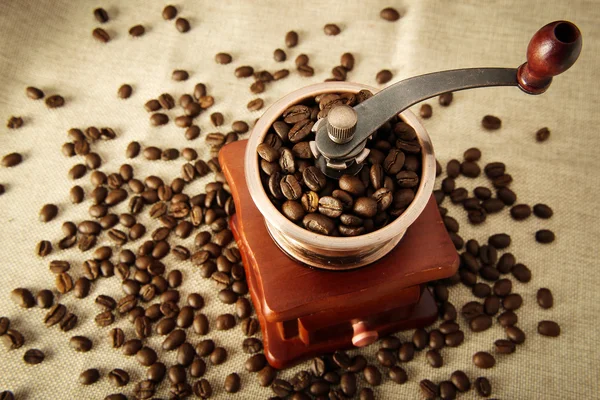 Coffee bean and coffee bean grinder