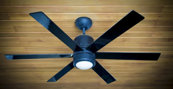 Ceiling fans in home