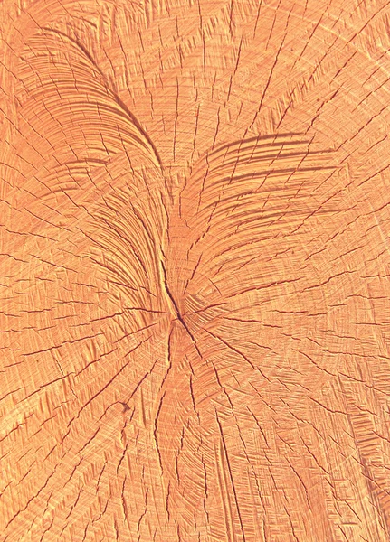 The texture of light wood