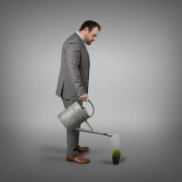 Businessman watering plant with watering can indoor